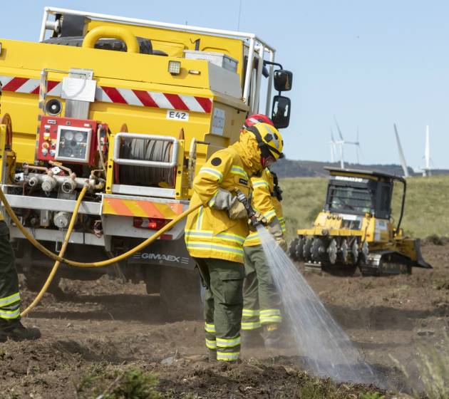 pessoas a cuidar a floresta